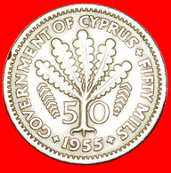 * FERN: CYPRUS ★ 50 MILS 1955! LOW START ★ NO RESERVE! - Cyprus