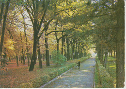 Almaty Alma Ata - Park Garden  Unused - Kazajstán