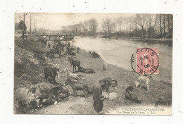 Cp , 92 ,  VILLENEUVE LA GARENNE , Les Berges De La Seine , Animaux ,ânes , Chevaux ,  Voyagée 1906 - Villeneuve La Garenne