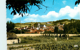 Salviac * Vue Générale Du Village - Salviac