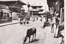 NEPAL(KATHMANDOU) - Népal