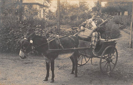 CPA 14 CARTE PHOTO D'UN NORMAND SUR SON ATTELAGE BIENHEUREUX ( Au Verso FILLION LISIEUX - Otros & Sin Clasificación