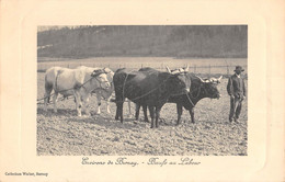 CPA 27 ENVIRONS DE BERNAY BOEUFS AU LABOUR - Sonstige & Ohne Zuordnung