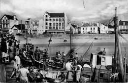 Quiberon * Port Maria * Arrivée Des Sardiniers * Hôtel De L'océan * Pêche Pêcheurs - Quiberon