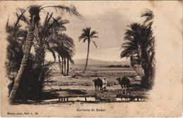 CPA AK BISKRA Envrions - Landscape ALGERIE (1146405) - Biskra