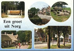 Nederland Holland Pays Bas Norg Met Bank En Hunebed - Norg