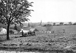 16-MONTBOYER- SCENE DE LABOUR - Autres & Non Classés