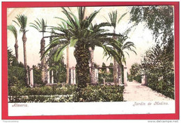 CPA ESPAGNA Andalucía  ALMERIA  JARDIN DE MEDINA DOS NON DIVISE UNDIVIDED BACK EARLY  PURGER & CO SPAIN - Almería