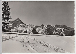 (14750) Foto AK Amden, Kapf, Mürtschenstock, Glarner Alpen - Amden