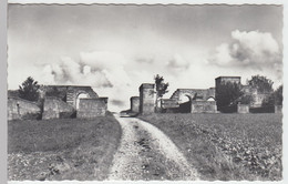 (53658) Foto AK Avenches, Ruines Romaines Porte De L'Est, Nach 1945 - Avenches