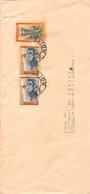 1938/39.- BRESIL. ENSEMBLE DE 9 LETTRES DIRIGÉES A ALLEMAGNE AU CONSULGENERAL ED. HEINZE A PSOTDAM - Lettres & Documents