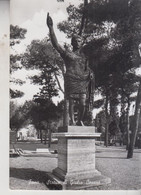 FANO STATUA DI GIULIO CESARE  NO  VG - Fano