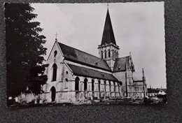 Asse Sint-Martinuskerk - Asse