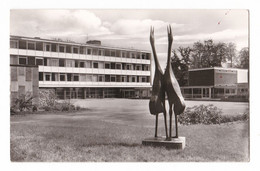 Inselstadt Ratzeburg, Lauenburgische Gelehrtenschule Im Fuchwald, Schöning & Co - Ratzeburg