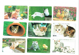 9 TELECARTES PHONECARDS GATOS CATS - Otros - Asia