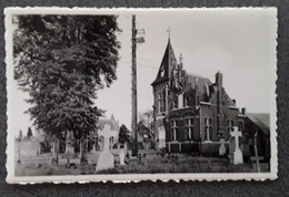 Sint-Pieters-Lille Het Gemeentehuis - Lille