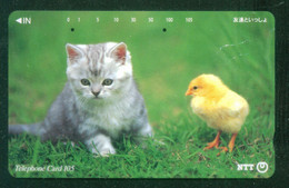 CATS / CHICK - Cats