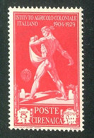 CIRENAICA 1930 PRO ISTITUTO COLONIALE ITALIANO  5 L.  +1 L.** MNH - Cirenaica