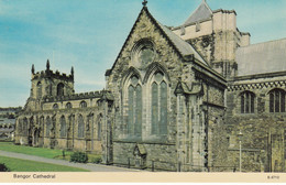 Postcard Bangor Cathedral  My Ref B14458MD - Caernarvonshire