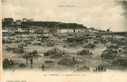 Cancale * Le Triage Des Huîtres * Pêche à Pied * Ostréiculture - Cancale