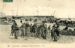 Cancale * Pêcheurs Au Triage Des Huîtres * Ostréiculture - Cancale