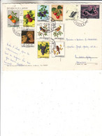 Saint Marin - Carte Postale De 1977 ° - Républica Di San Marino - Fruits - Raisins - Pommes - Oiseaux - Signe Zodiaque - Lettres & Documents