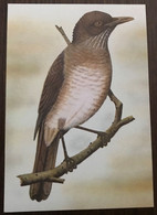 Sao Tomé E Principe: Intero, Stationery, Entier, Turdus Olivaceofuscus - Sparrows