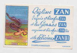 REGLISSE ZAN - GEOTRIE - 16 X 10 CM - Sucreries & Gâteaux