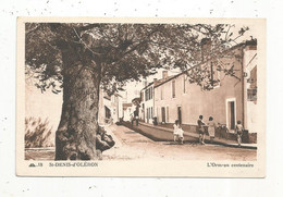 Cp, ARBRE ,17 , ILE D'OLERON , SAINT DENIS D'OLERON , L'ORMEAU CENTENAIRE ,vierge - Trees