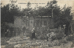 Flobecq-Bois   *  Maison Des Fleurs, Chez Sylvie - Vloesberg