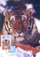 Carte Postale 1er Jour Le Tigre De Sibérie, Service 2006 (YT S 134) - Ohne Zuordnung