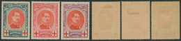 Croix-rouge - N°132/34* Fine Charnière (MH) + Variété "Torsade". - 1914-1915 Rode Kruis