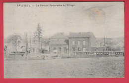 Paliseul -  La Gare Et Panorama Du Village ( Voir Verso ) - Paliseul