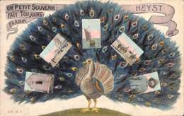 Heist - Heyst - Un Petit Souvenir Fait Toujours Plaisir (Multi-vues Colorisée Paon  Phototypie Marovici 1913) - Heist