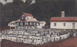 POSTCARD  PORTUGAL - AFRICA - OLD PORTUGUESE COLONY  - SÃO TOMÉ AND PRINCIPE - PESSOAL EM FESTA - NUMA ROÇA - Sao Tome And Principe