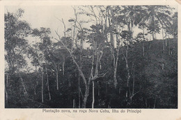 POSTCARD  PORTUGAL - AFRICA - OLD PORTUGUESE COLONY  - SÃO TOMÉ AND PRINCIPE - ROÇA NOVA CUBA - Sao Tome Et Principe