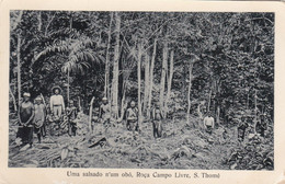 POSTCARD  PORTUGAL - AFRICA - OLD PORTUGUESE COLONY  - SÃO TOMÉ AND PRINCIPE - ROÇA CAMPO LIVRE - Sao Tome And Principe