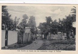 POSTCARD  PORTUGAL - AFRICA - OLD PORTUGUESE COLONY  - SÃO TOMÉ AND PRINCIPE - RUA CATARINA JORGE - Sao Tome And Principe