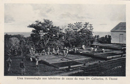 POSTCARD  PORTUGAL - AFRICA - OLD PORTUGUESE COLONY  - SÃO TOMÉ AND PRINCIPE - ROÇA SANTA CATARINA - Sao Tome And Principe