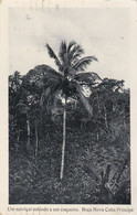 POSTCARD  PORTUGAL - AFRICA - OLD PORTUGUESE COLONY  - SÃO TOMÉ AND PRINCIPE - ROÇA NOVA CUBA - Sao Tome And Principe