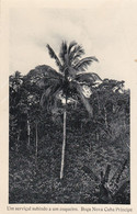 POSTCARD  PORTUGAL - AFRICA - OLD PORTUGUESE COLONY  - SÃO TOMÉ AND PRINCIPE - ROÇA NOVA CUBA - Sao Tome Et Principe