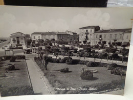 Cartolina Marina Di Pisa Piazza Baleari - Pisa