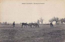 95 - MARLY LA VILLE -Elevage De Poulains 1915 - Marly La Ville