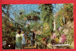 FLINTSHIRE  RHYL  IN ROYAL FLORAL HALL  BAMFORTH RP   Pu 19766   VIEW 2 - Flintshire