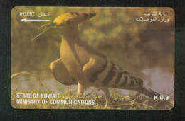 KUWAIT / BIRD - Sperlingsvögel & Singvögel
