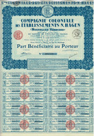 Titre Ancien - Compagnie Coloniale Des Etablissements N. Hagen - Nouvelles Hébrides  - Titre De 1928 - - Agriculture