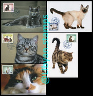 LIBYA 1996 Cats Children UNICEF (5 Maximum-cards) - Katten