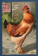 ⭐ France - Carte Postale - Coq ⭐ - Pájaros