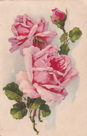 A12301- PINK PAINTED ROSES FLOWERS VINTAGE POSTCARD - Fleurs