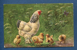 ⭐ Carte Postale - Coq - Poule - Poussin ⭐ - Uccelli